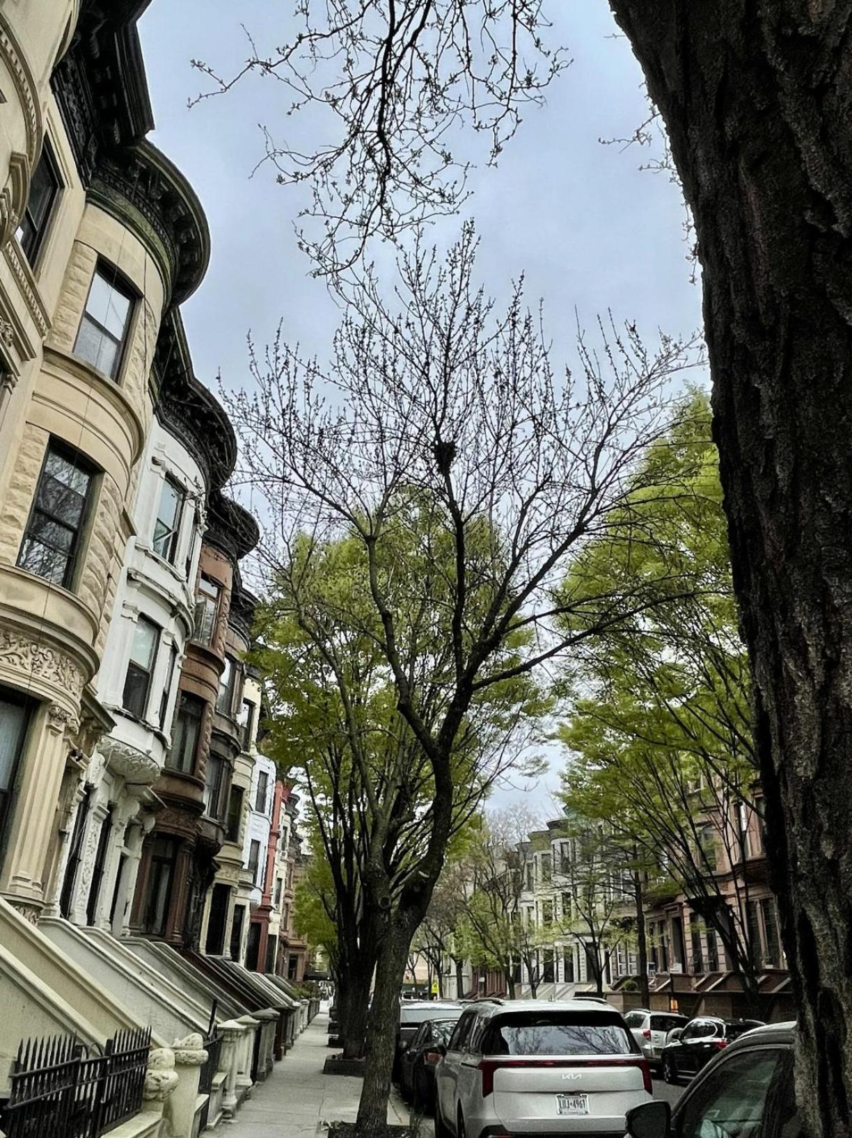 Nyc Townhouse Apartment Νέα Υόρκη Εξωτερικό φωτογραφία