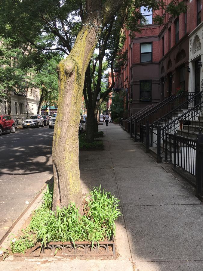 Nyc Townhouse Apartment Νέα Υόρκη Εξωτερικό φωτογραφία